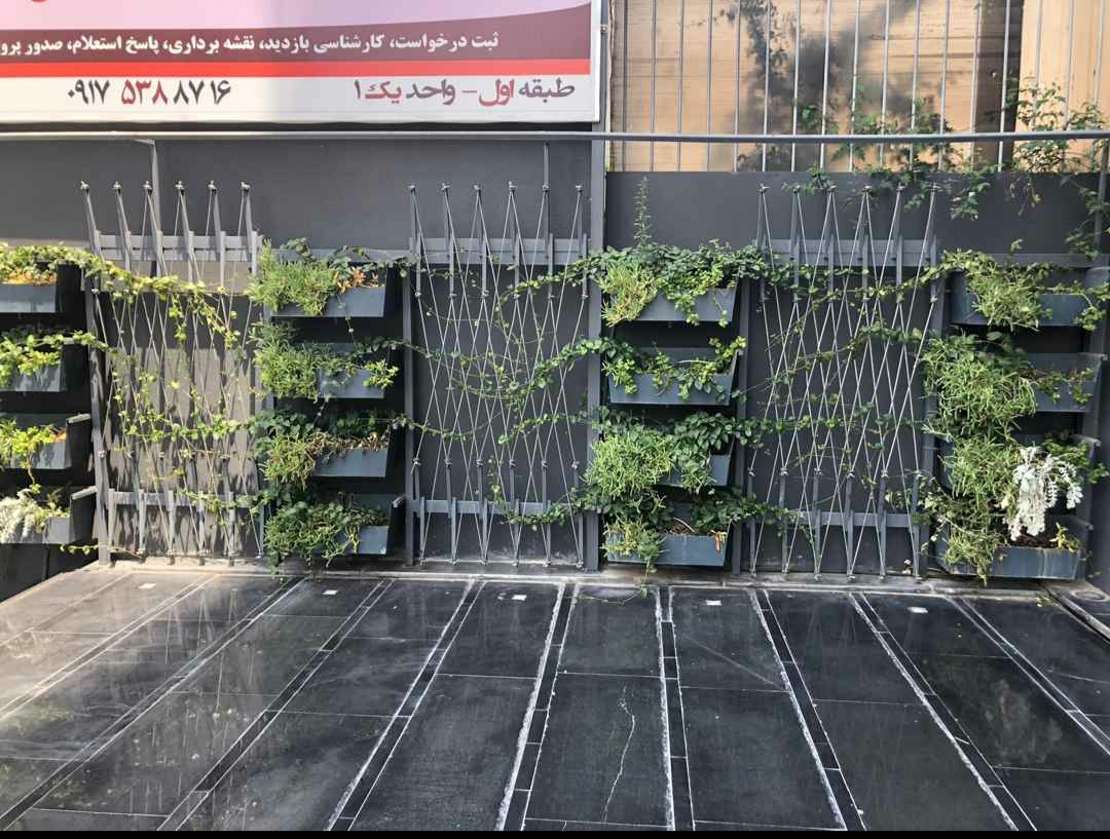 دیوار سبز